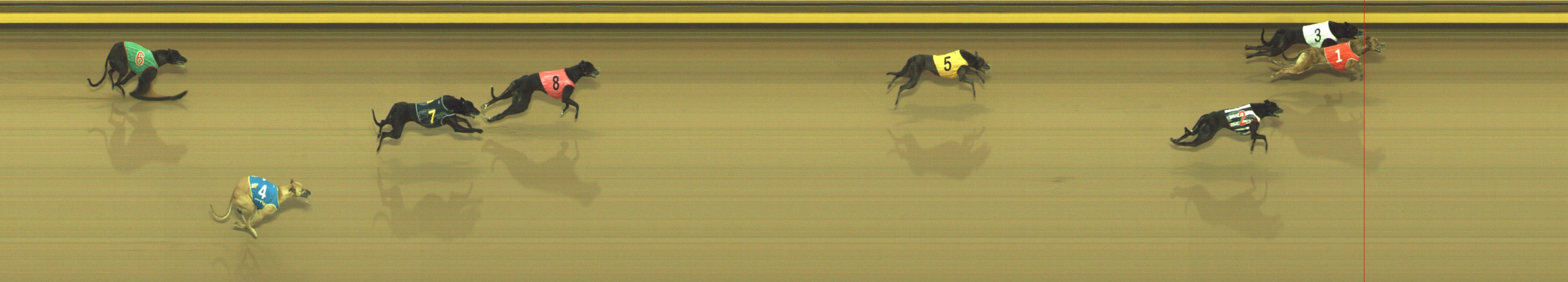 Race result finish photo